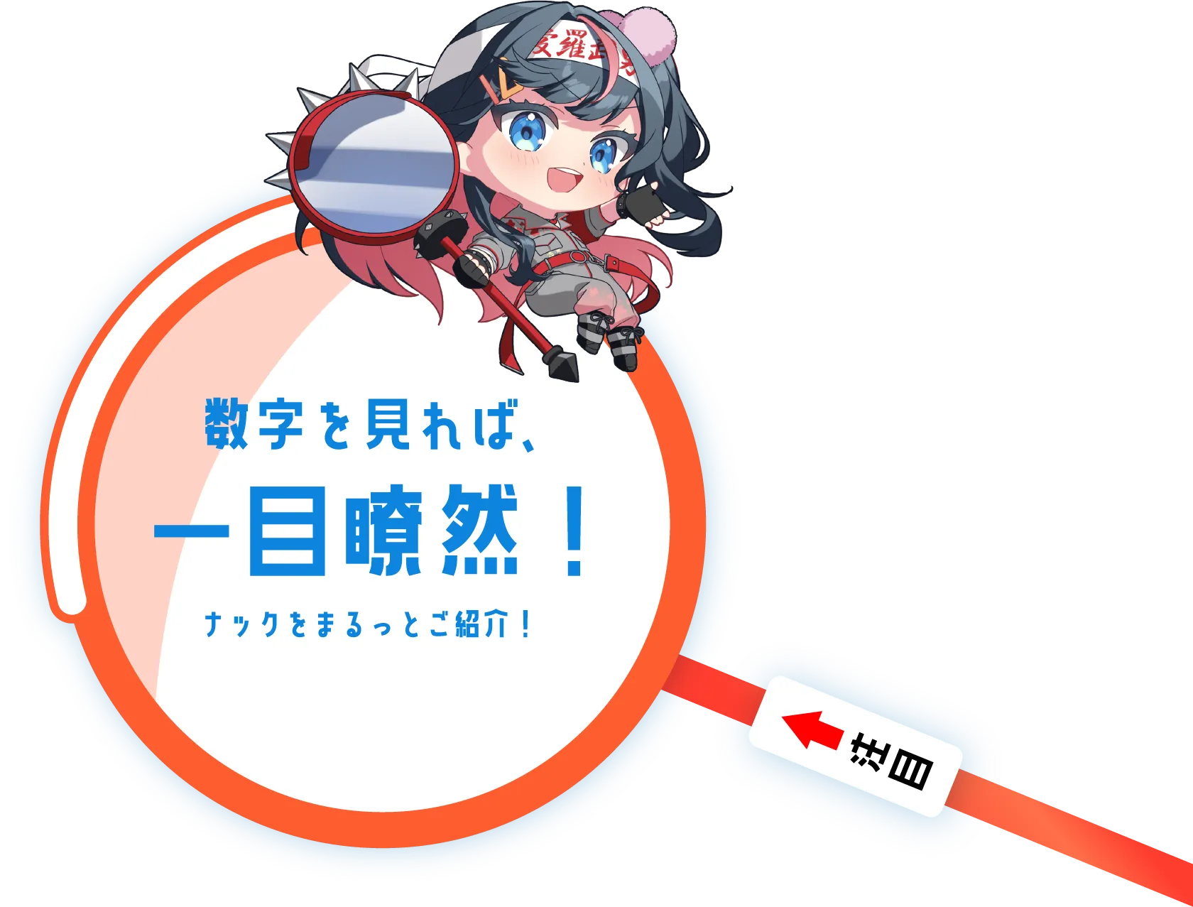 数字を見れば、一目瞭然!ナックをまるっとご紹介!